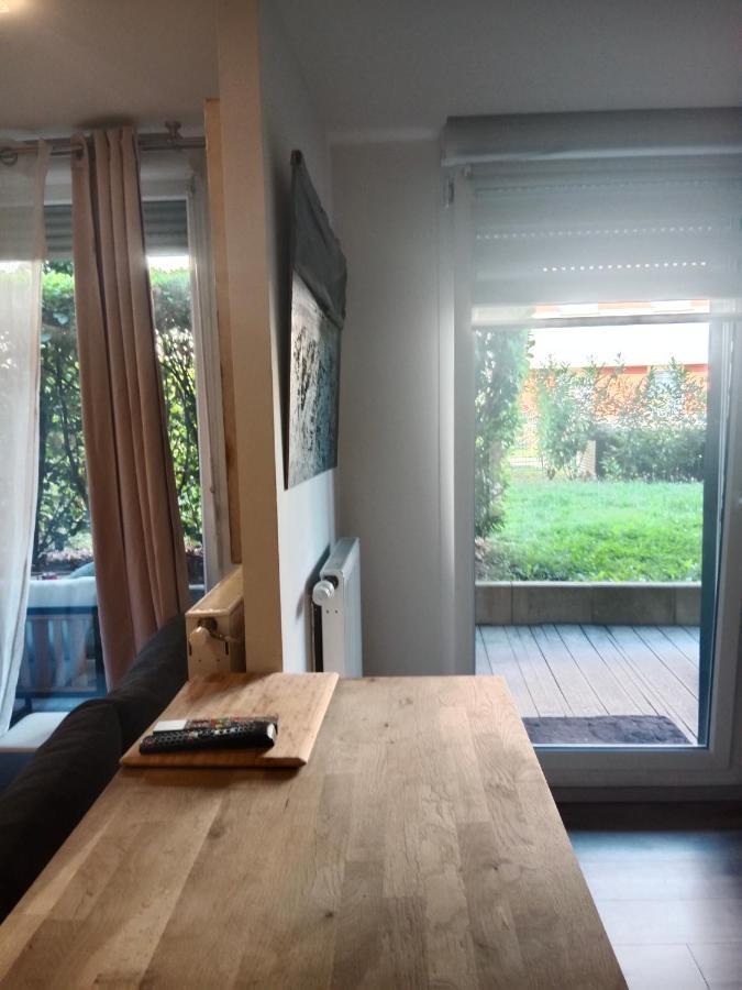 Tres Bel Appartement Rez De Jardin Appart De 53M2. Pfastatt Esterno foto