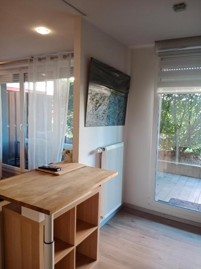 Tres Bel Appartement Rez De Jardin Appart De 53M2. Pfastatt Esterno foto